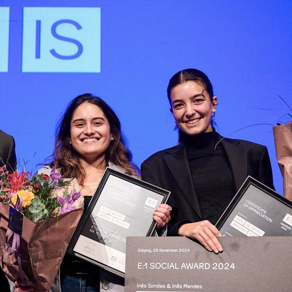 Ines De Fatima Arsenio og Ines De Castro Sousa Cabral Mendes